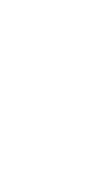 Tainted Coffee